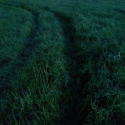 desimoodboard's tweet photo. •moodboard•aesthetic•green• https://t.co/qGHl2Cxvmr