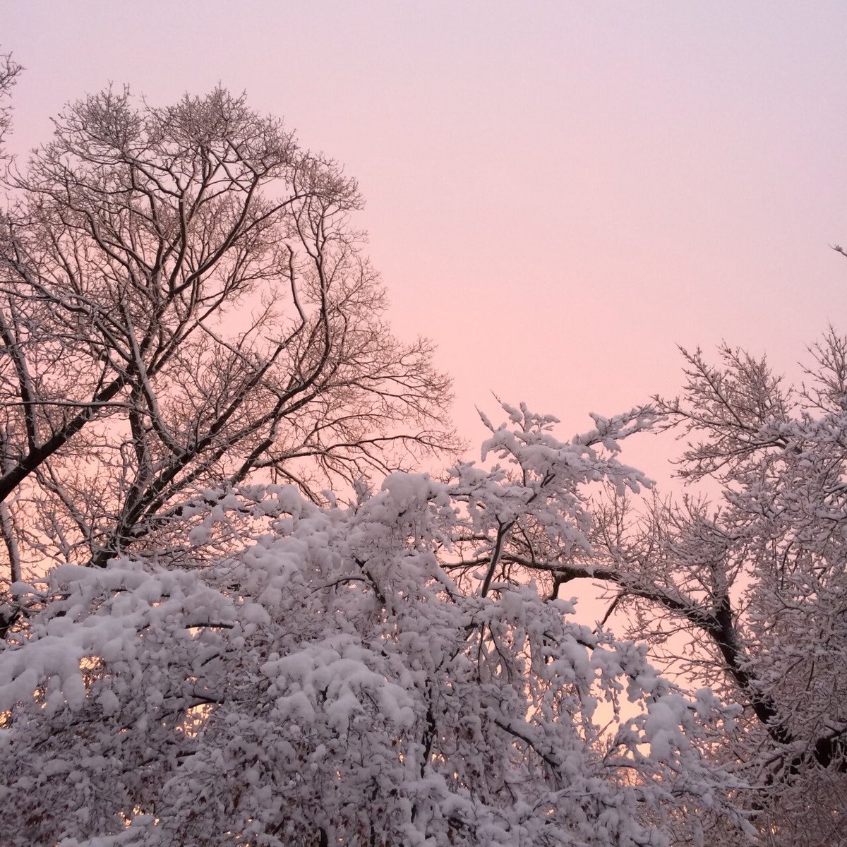 desimoodboard's tweet photo. •moodboard•aesthetic•snow• https://t.co/3pGQjBcxu1