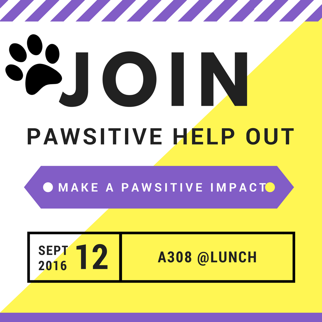 pawsitivefpss's tweet photo. PAWSITIVE HELP-OUT IS BACK! Join us in A308 on Monday Sept. 12th at Lunch! https://t.co/w3fDI0dFhd