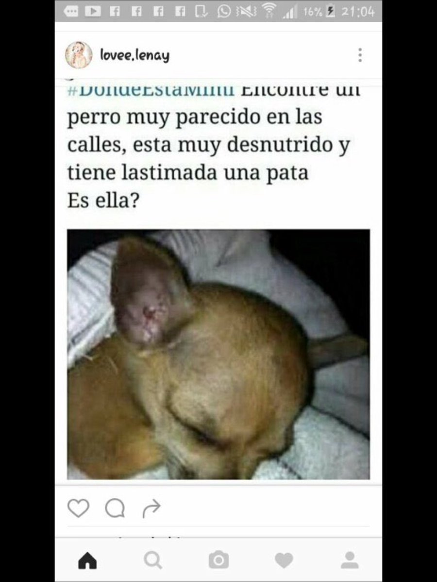 LisaAndLinaFans's tweet photo. @GermanGarmendia  Y @lenaychantelle  ESTA ES TODA LA INFORMACIÓN QUE TENGO OJALÁ LES AYUDE RT PARA QUE LO VEAN https://t.co/X9yjPqNZSe