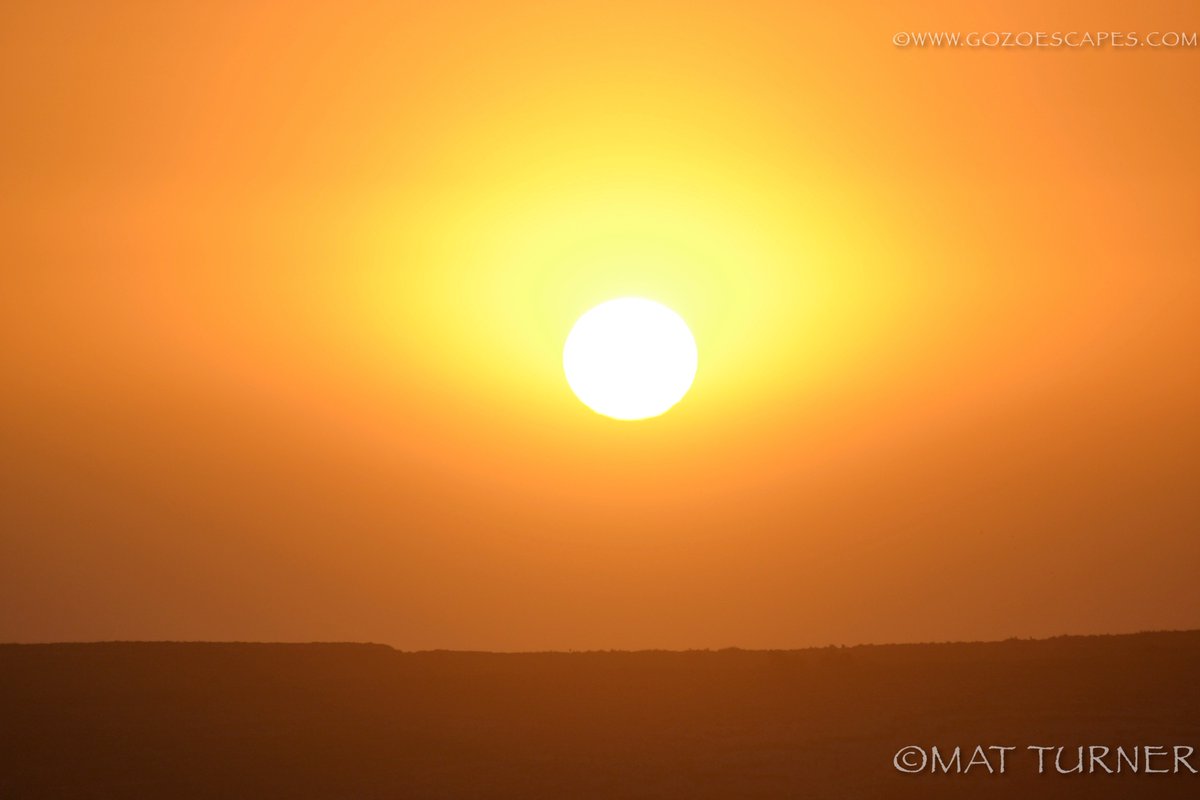 LelluxGozo tweet picture
