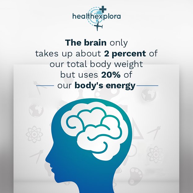 HealthExplora's tweet photo. Probably that's how the brains become that brainy !
#healthexplorafacts #medicalfacts #medicaltourism https://t.co/adwVSYzTcr