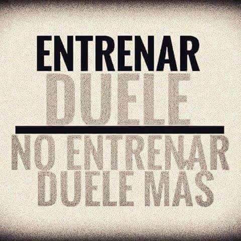 RafaelEgan's tweet photo. #volmemos todo sea por mejorar , concentrado https://t.co/Cc3Aaixq1R
