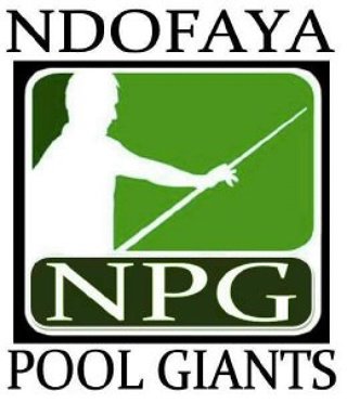 Sowetoblackball's tweet photo. LEAGUE UPDATE: NPG (1) now on top of the Log Standings. After 12 matches. @wetsim1 with BFC 2nd with matches pending https://t.co/UZxRlBd1Fy