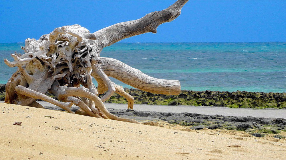 I know, it's a tough view from the office window this morning... #lgbtparadise #Cairns #TMG2016