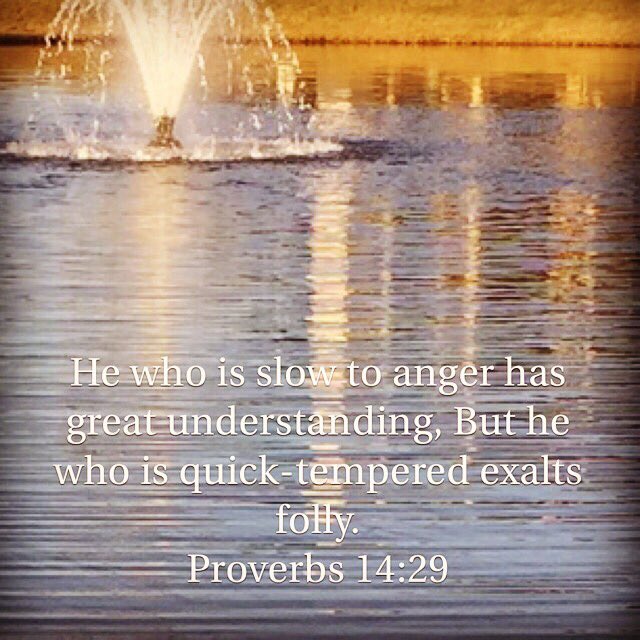 LiveInFreedom's tweet photo. Understanding is better than folly. Sometimes slow is better than fast. #GoodLife #ProvADay https://t.co/CPJHAZSLoL