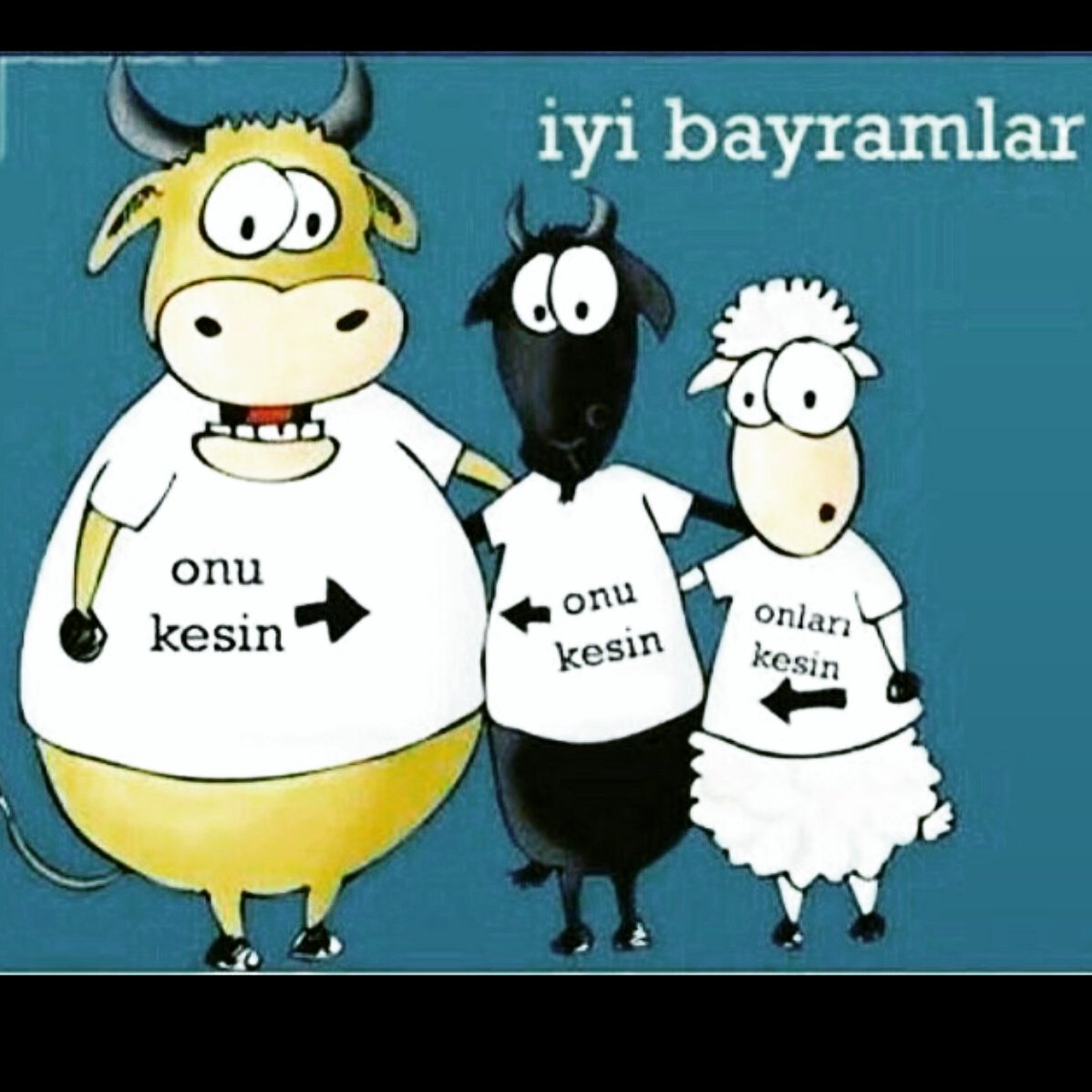 Kurban Bayrami смешные