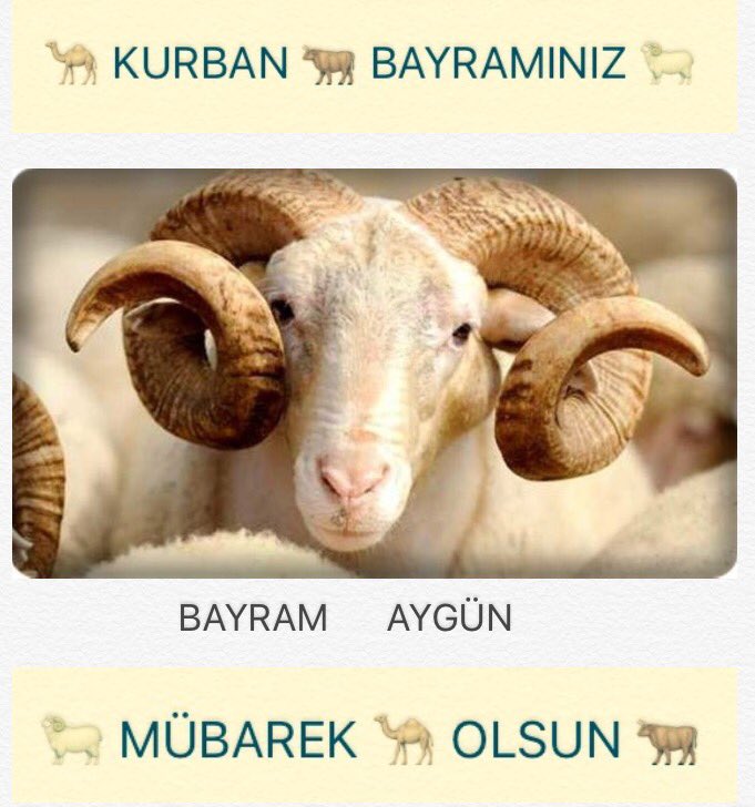 Bütün Müslüman Aleminin Arkadaş Dost Kardeş Akraba Vede Tüm Takipçilerimin Kesilen Kurbanlarla Beraber Mübarek Olsun