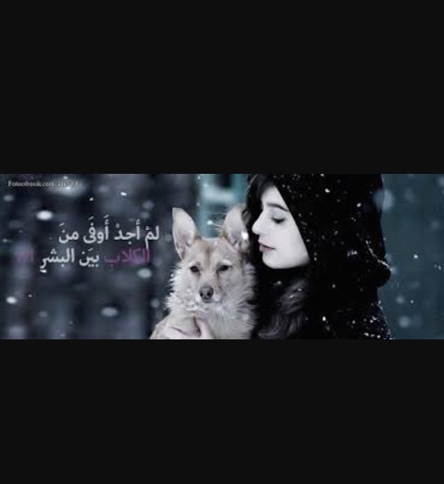 malaksalman2017's tweet photo. https://t.co/rBNaSrGRFB