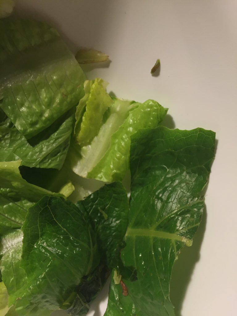 EatMoore's tweet photo. Yo @TraderJoesList.  3x washed salad and these little creatures from the deep lagoon are crawling around? #smh https://t.co/Z1oGDuvRR3