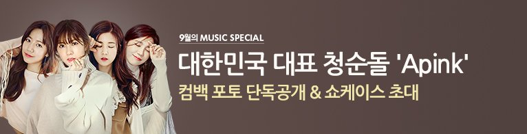 Apink_2011 tweet picture