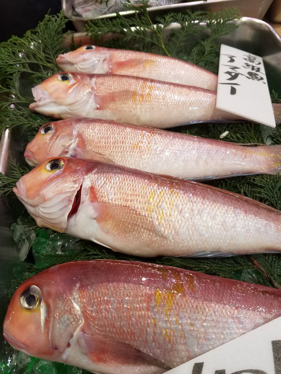 魚市 二子新地鮮魚店 Na Twitteru 魚市です おはようございます 本日のおすすめ 高級魚いろいろ入りました 89キロ天然生みなみまぐろ刺身 島根産のどぐろ刺身 秋田産甘鯛皮霜造り 大分産関さば刺身 和歌山産〆さば 岩手産戻りかつお刺身 など 魚市 二子新地鮮魚店 Na Twitteru 魚市です おはようございます 本日のおすすめ 高級魚いろいろ入りました 89キロ天然生みなみまぐろ刺身 島根産のどぐろ刺身 秋田産甘鯛皮霜造り 大分産関さば刺身 和歌山産〆さば 岩手産戻りかつお刺身 など