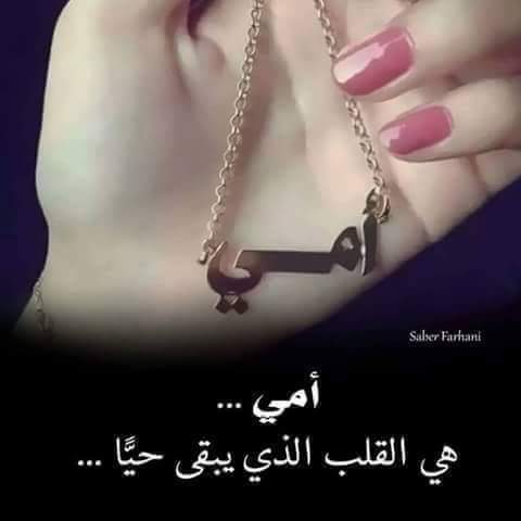 mreamaas's tweet photo. @QweenSarro16 @101_haider @bnt_313 https://t.co/NwySbqtAOo