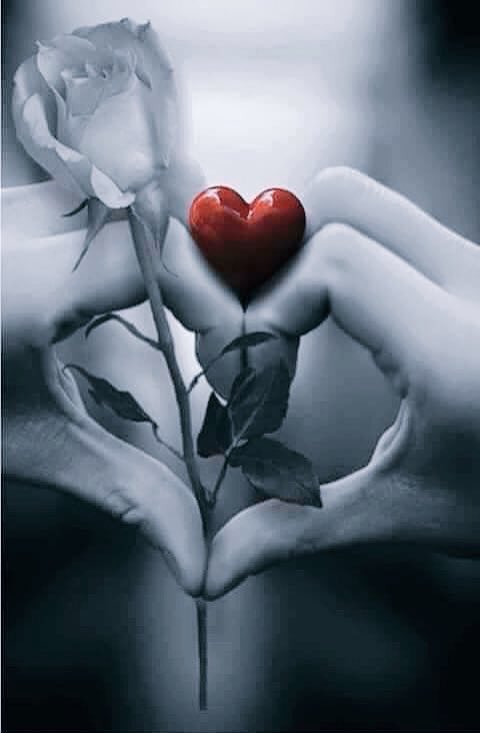 george28bol's tweet photo. @miasaenz00 https://t.co/EMCdwTD8LC