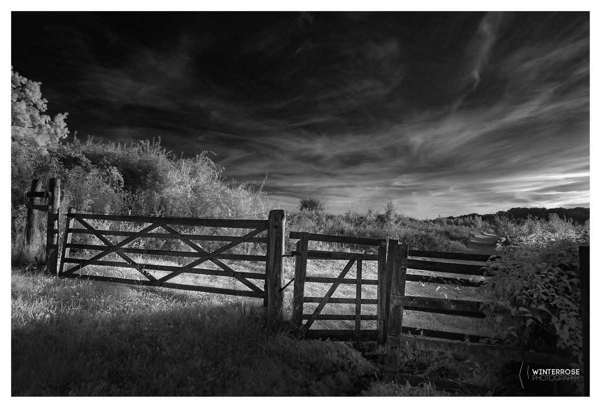 winterrosephoto's tweet image. My entry for #wexmondays. Good luck y'all #wexmondays #repostmyfuji #IR #infrared

Hi res flic.kr/p/LaydUm