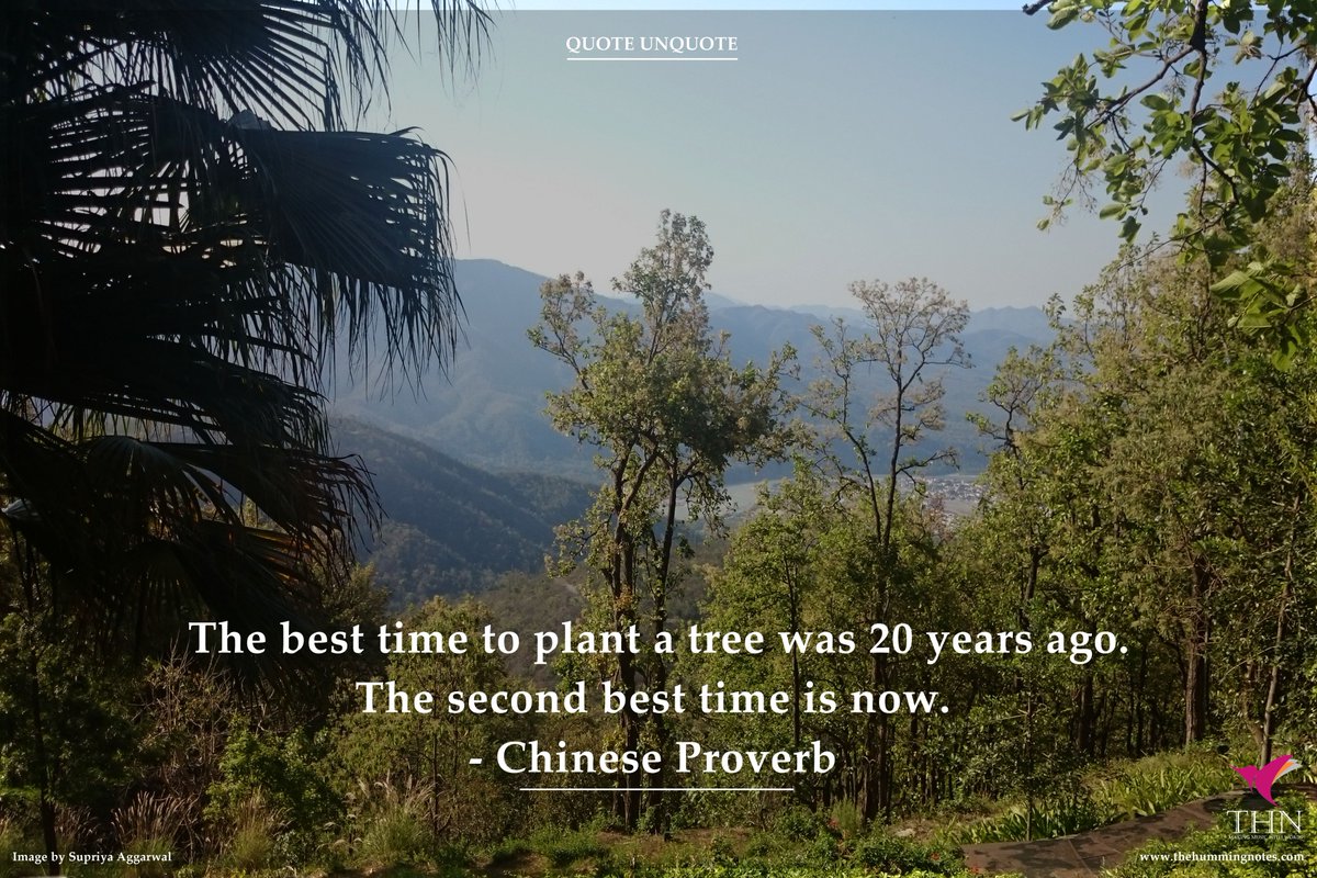 TheHummingNotes's tweet photo. Do it today #mondaymotivation #nature #ecologicalsystem #greenery #happiness #purposeoflife #ttot https://t.co/frd6VGLjhU