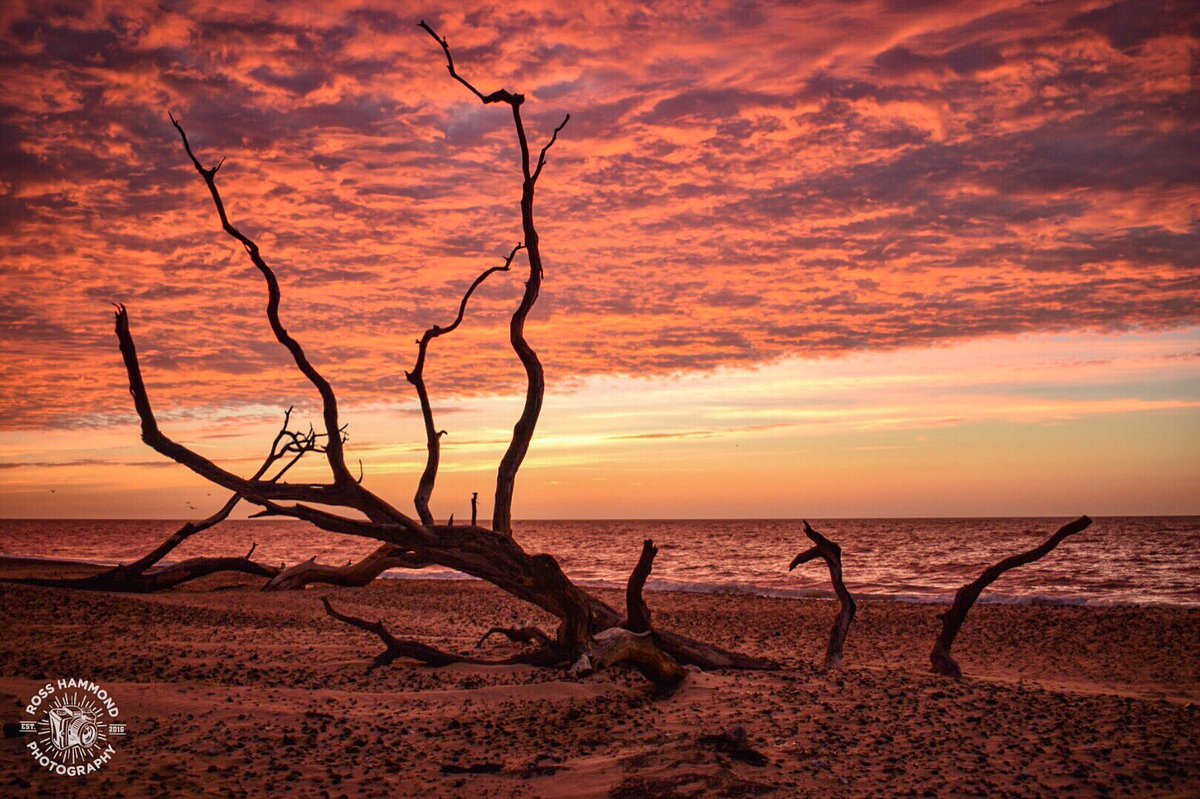 RHPicture's tweet photo. #wexmondays entry for this week taken on a beach in #Suffolk @wextweets 

#ShareMondays https://t.co/xpRq2hGnUz