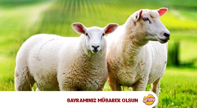 AfillyRestauran's tweet photo. Güzel bir bayram geçirmeniz dileğiyle... https://t.co/56dkw910PB