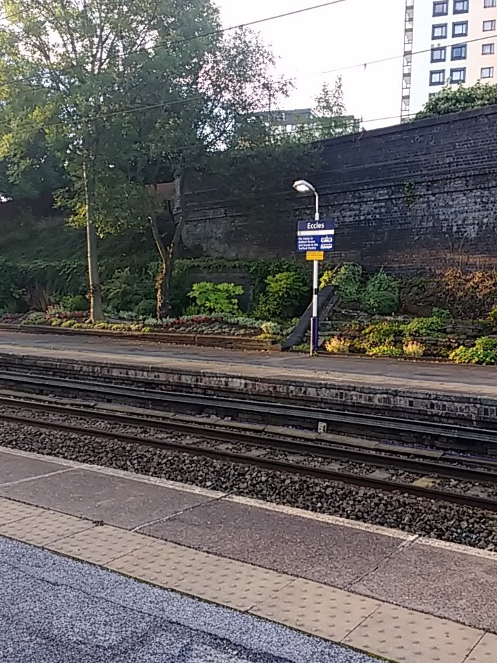 The sun is out but the train's a little late, so why not post a photo of the garden.  #ecclesrailwaystation #eccles