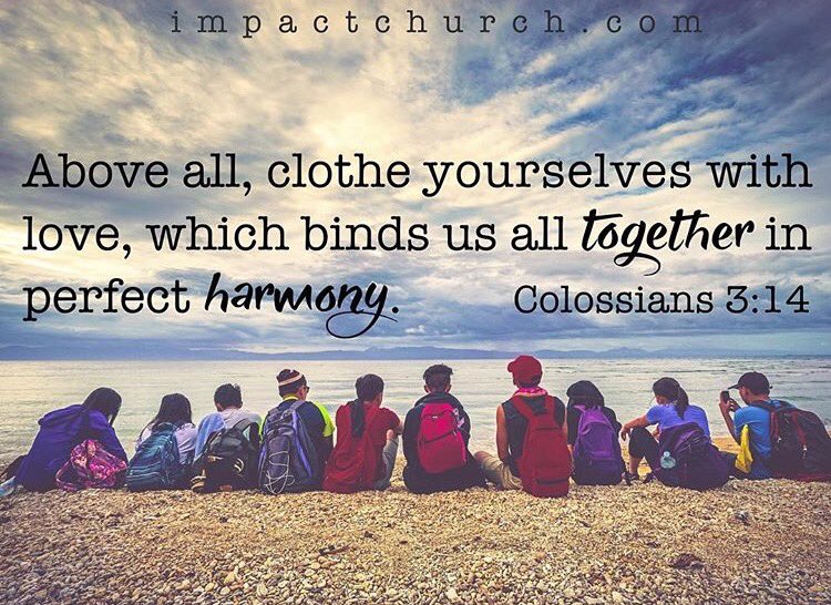 yourcoachsean's tweet photo. Love: Above all else, always! #Sunday #BibleVerse #VerseOfTheDay #DadsWithSwag #SeanAlfonso #Impact #FamilyFirst https://t.co/nrBD5whTSl