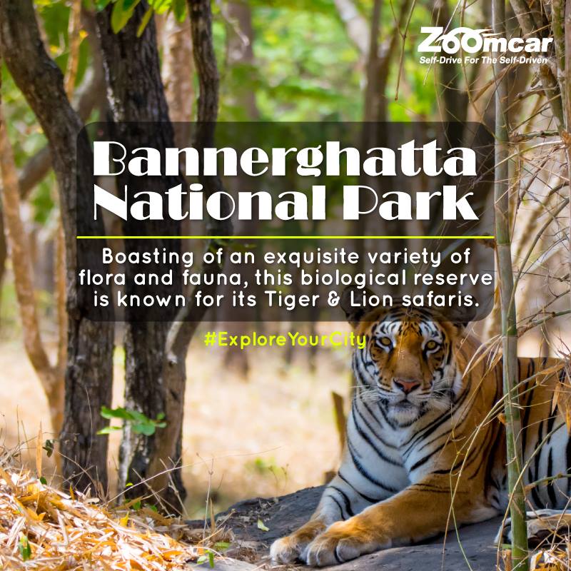 Zoomcar Bangalore tweet media