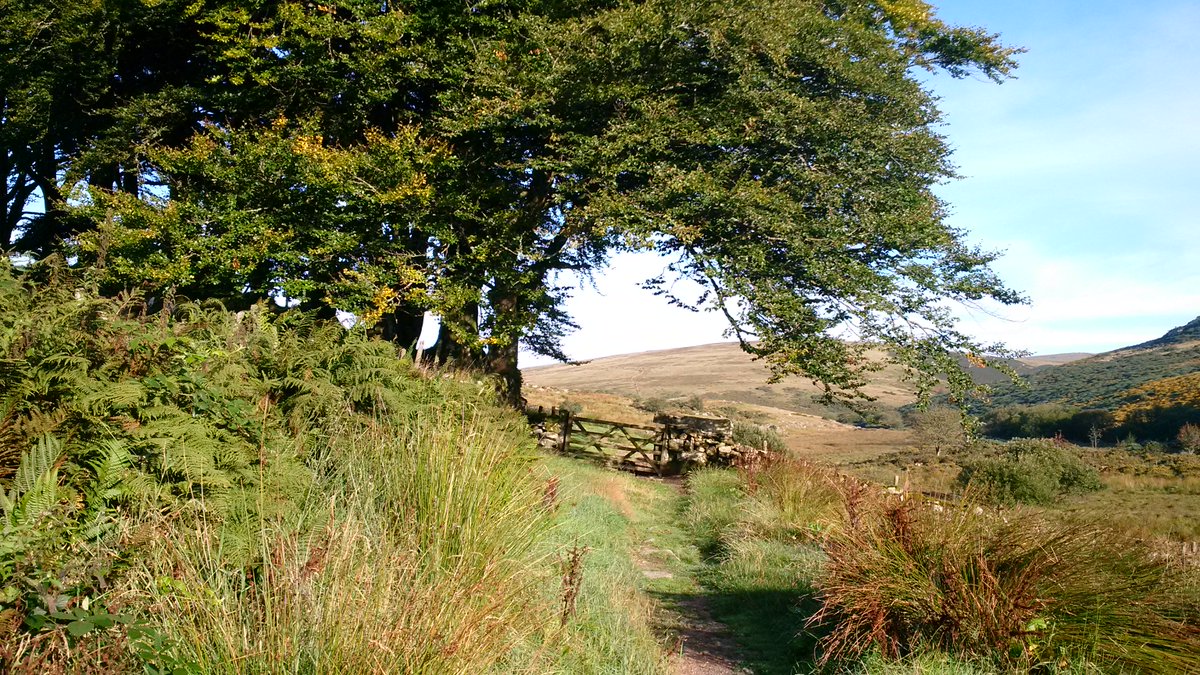 DimpseyUK's tweet photo. RT @ayrmer: Sunday walk: #Postbridge to #WaternTor and #HangingstoneHill #Dartmoor https://t.co/UPdI83UxFU // Amazing photos :)