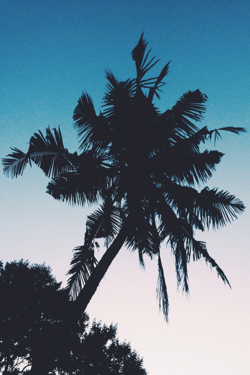 New mix uploaded --> tinyurl.com/zbjp6cg  .Catch us next at <a href="/superbalist/">Superbalist</a> x <a href="/RockingTheDaisy/">Rocking the Daisies</a> with <a href="/tropicalroast/">The Tropical Roast</a>.