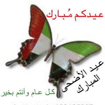 EmiratesLupusSo's tweet photo. بأرق العبارات وأندى الكلمات،، وعلى أثير المحبة وخالص التحيات، نهنئكم بقدوم عيد الأضحى المبارك.. كل عام وأنتم بخير https://t.co/pGKt9fVZL9