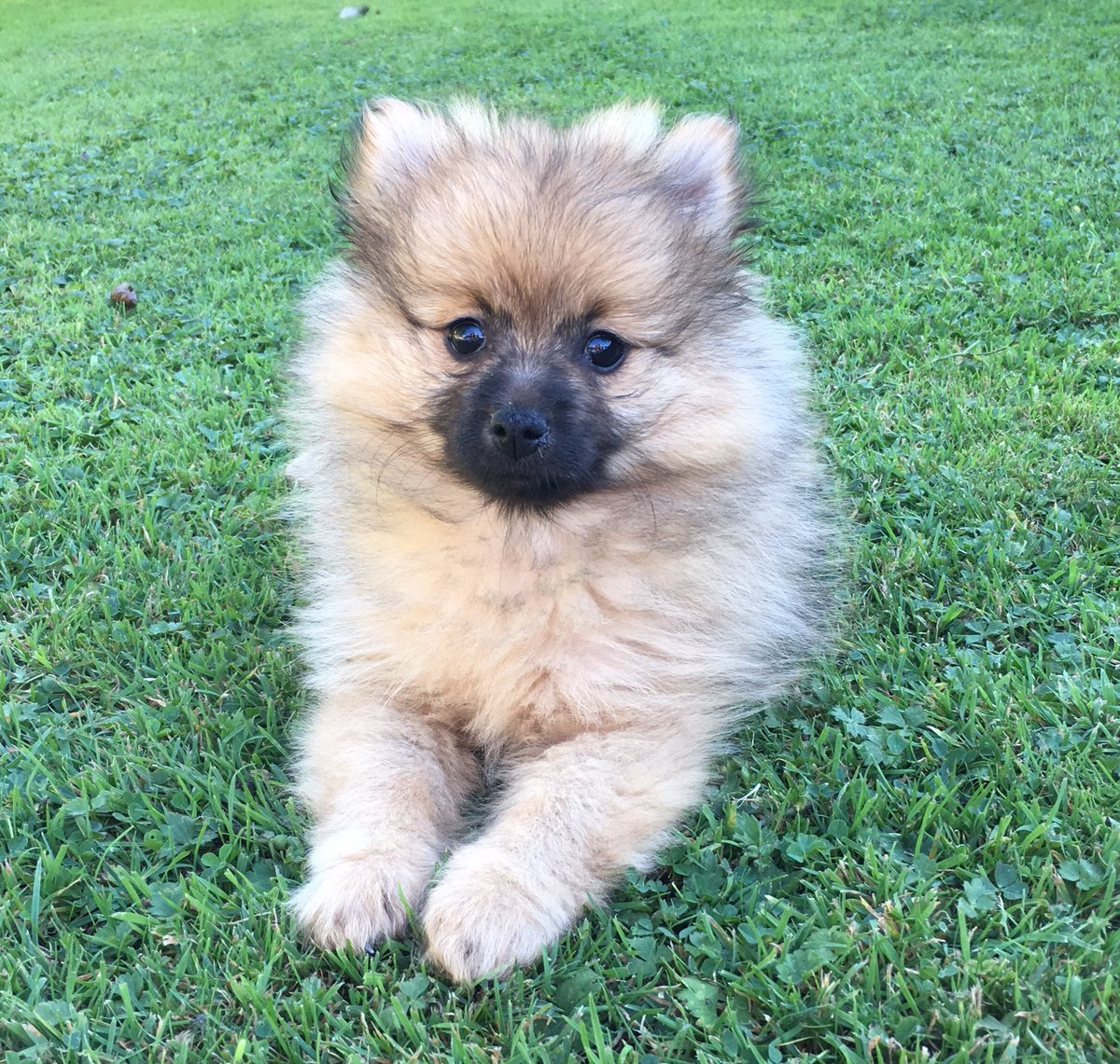 libbymurphy_x's tweet image. First time in the garden 💗💗