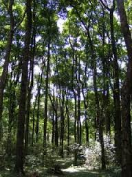 Explore Kakamega tweet media