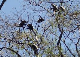 Explore Kakamega tweet media