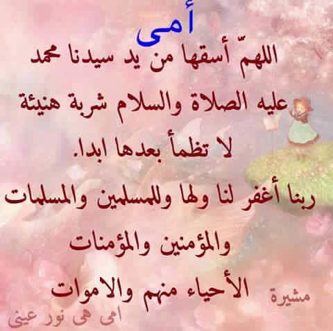 mmah2163's tweet photo. https://t.co/9rjxmK8X5z