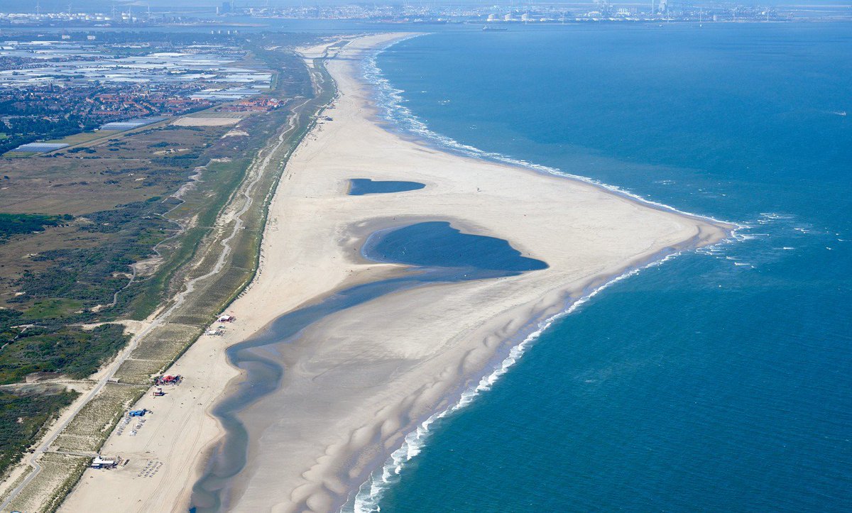 Suzette Schreuder tweet media