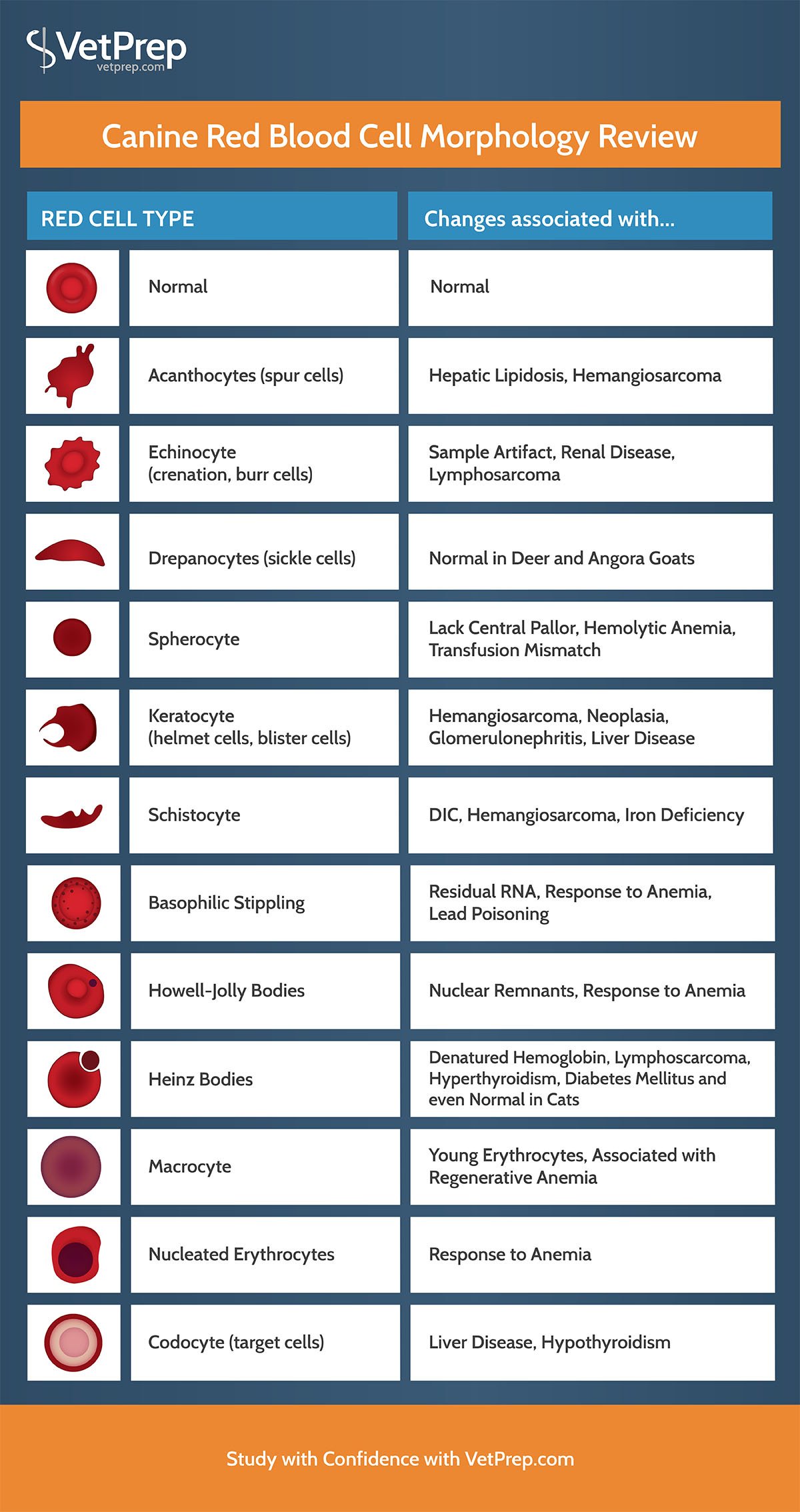 Canine red cell reviews 2025
