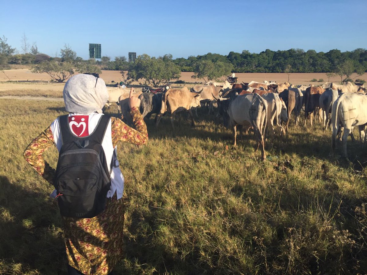 YYD_tr's tweet photo. Kurbanlarınız Yeryüzüne ulaşıyor;Kenya,Afganistan,Somali,Yemen,Çad,Uganda,Nijer,Gambia'da bayram yüzleri güldürüyor. https://t.co/cQnlppEUjI