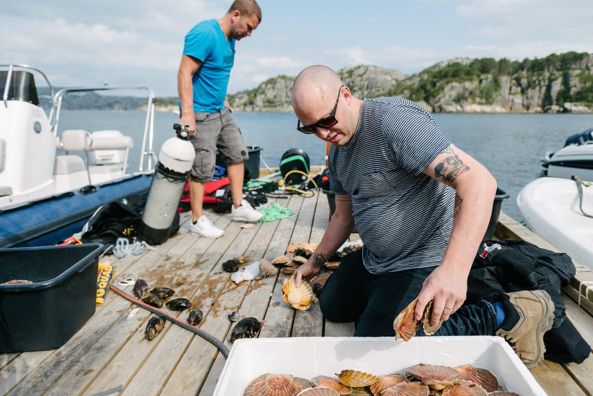 Sjekk ut det nydelige portrettintervjuet med <a href="/Spiseplikt/">Christopher Haatuft</a> fra <a href="/Lysverket/">Lysverket</a>! freundevonfreunden.com/interviews/chr…