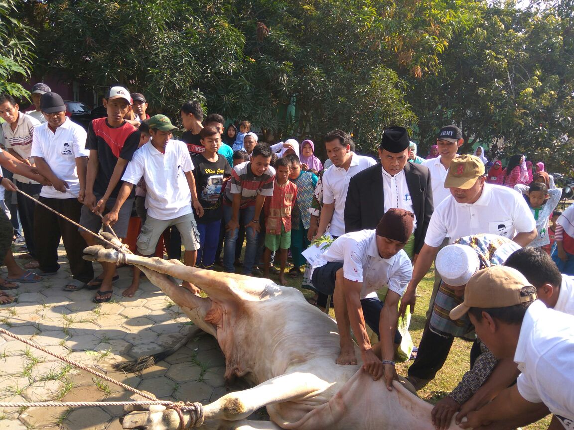 Semoga Allah menerima ibadah qurban kita &amp; kita semua bisa meneladani kemuliaan nabi Ibrahim &amp; Ismail.
