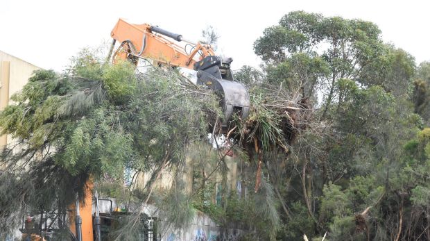 envirojobs's tweet photo. Protesters stall woodland destruction for #westconnex https://t.co/qzVyjP6Xk3 https://t.co/8XTk5TtmzS