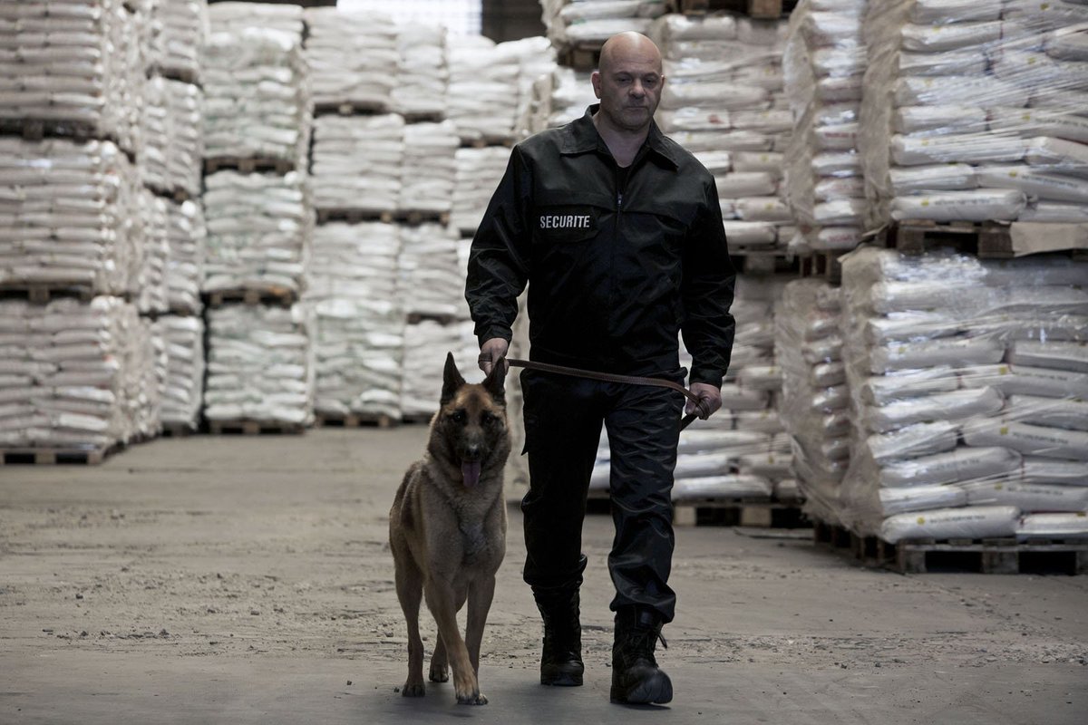 franceinter's tweet image. #Braquo, des flics face à leurs principes bit.ly/braquo-int #InstantM @Sonia_InstantM #série