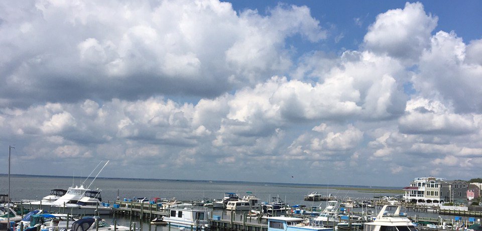 BogathEvents's tweet image. Wedding Preview: Tira &amp;amp; Joe, September 17, 2016 bogathevents.com/2016/09/12/wed…