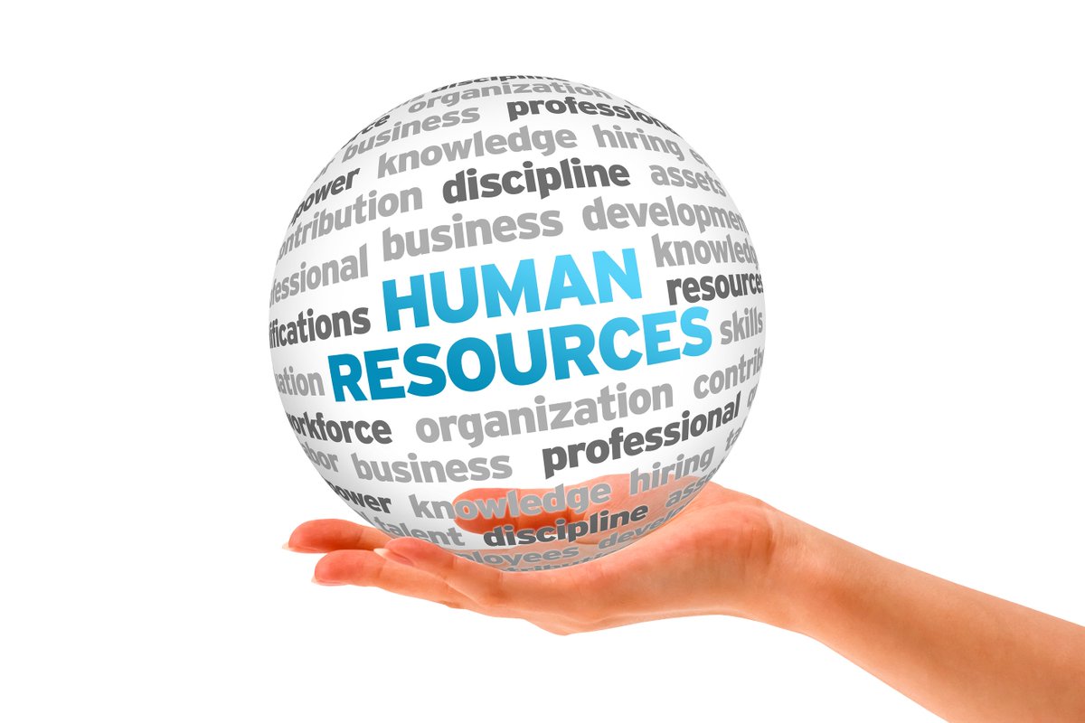 BlueTreeHR's tweet photo. Employee problems? Why not outsource HR and get things sorted by us. https://t.co/w9dL2ifKNE https://t.co/wDK2Jmkz0S