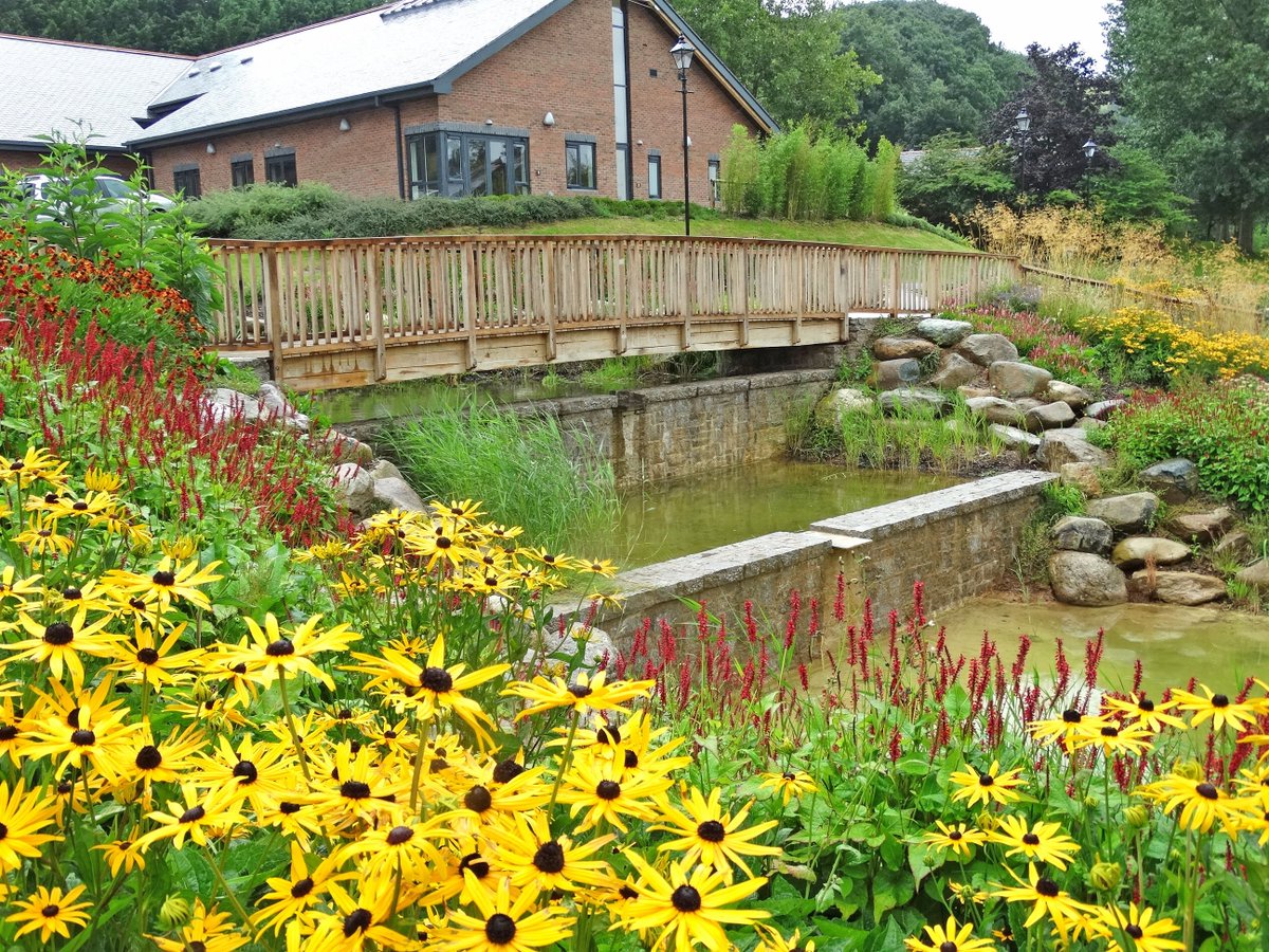 Great to see the planting around the attenuation pond at Highfield Park has established well! #landarch #landscape