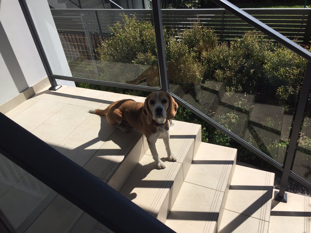 Humphrey: Yes, my bum is sitting and my front is standing. Problem?