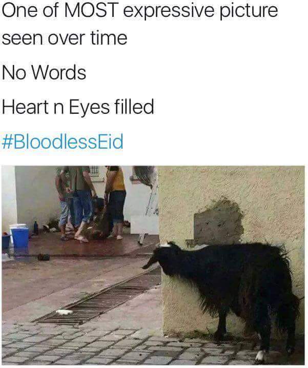 karunasagarllb's tweet photo. when #SoundlessDiwali #WaterlessHoli then y not #BloodlessEid https://t.co/0JhAXPX0GO