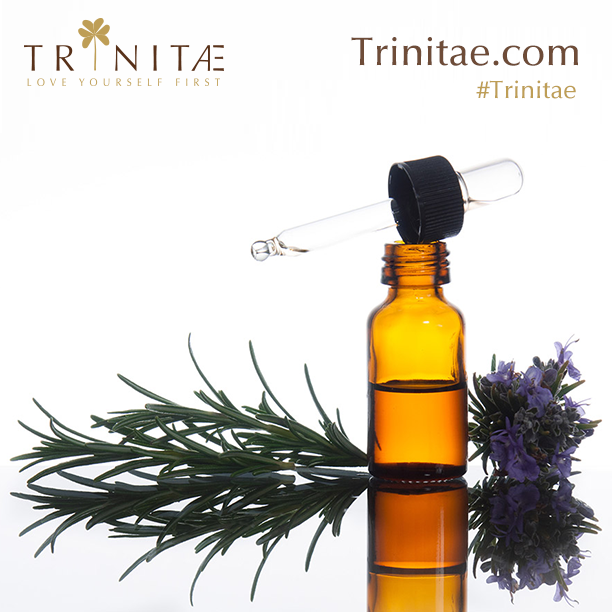 ecommercearabia's tweet photo. Moisturize and nourish the skin with Trinitae's moisturizing face oil.

https://t.co/PL85CrOec4

#Trinitaejo #Jordan https://t.co/6w9nmFsLb8