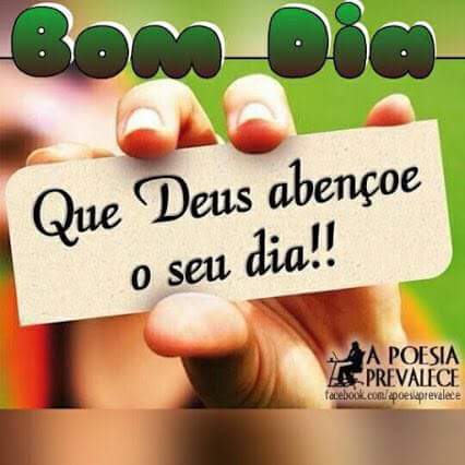 Ricardo Ferreira. (@64b0af6f09fa4a6) on Twitter photo 