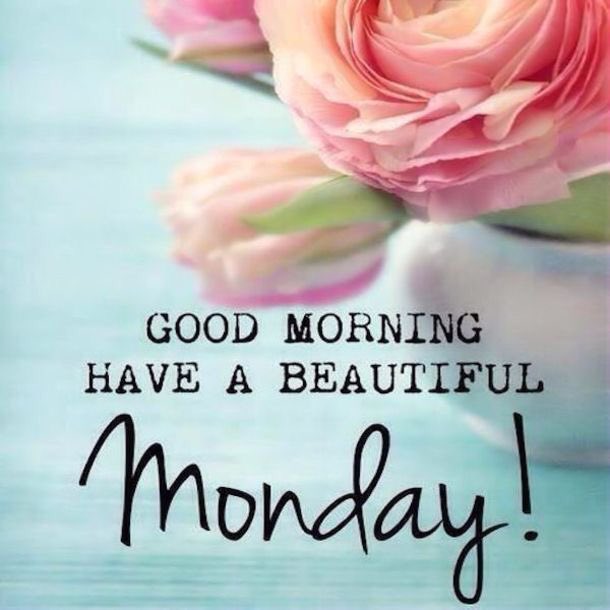 Have a great Monday from the Diva Team. 07756166900 #massagetherapy #massage #mobilemassage #surrey