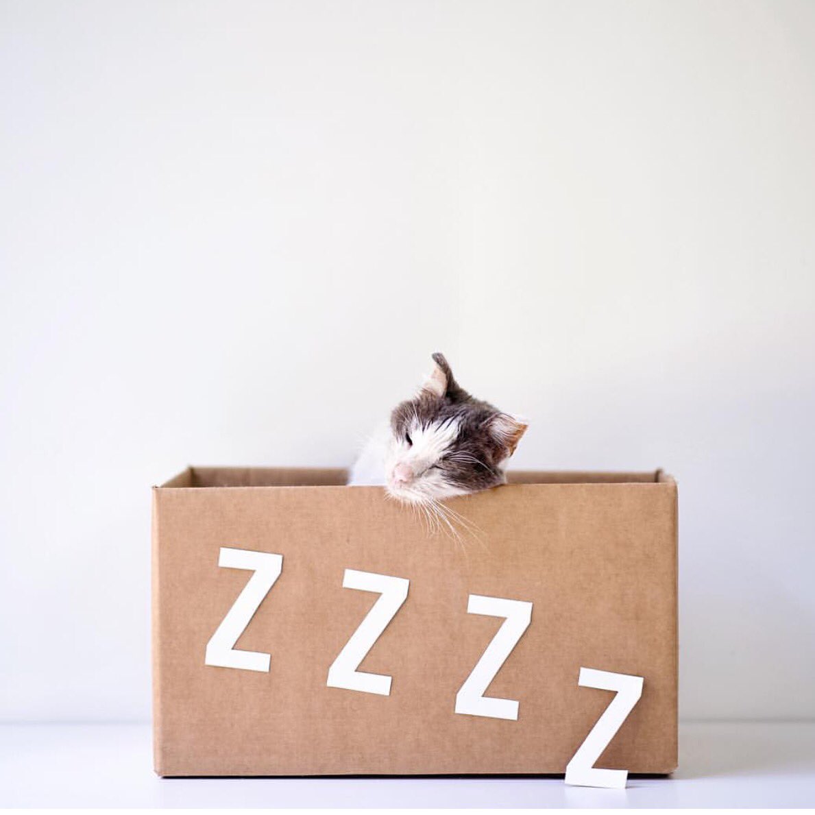 Studioplay.co tweet media