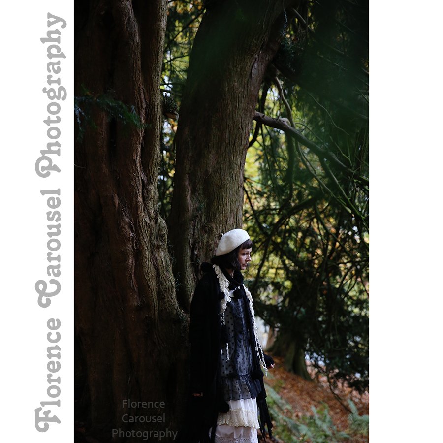 FCarouselPhoto's tweet image. Into the Woods, 2014. #photooftheday #ukphotographer #photography #photo #photoshoot #portraits #cannockchase