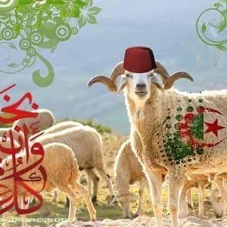 عيدكم مبارك وكل عام والامة العربية بالف خير